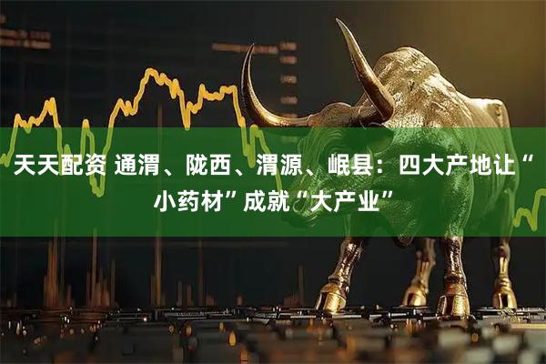 天天配资 通渭、陇西、渭源、岷县：四大产地让“小药材”成就“大产业”