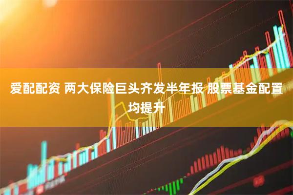 爱配配资 两大保险巨头齐发半年报 股票基金配置均提升